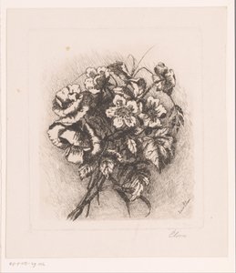 Nature morte de fleurs avec coquelicots et anémones