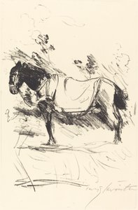 Cheval de selle, 1916
