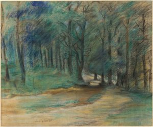 Chemin forestier