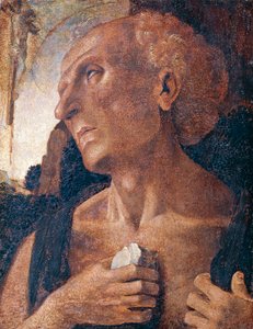 Saint Jérôme - Luca (attr.to) Signorelli