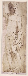 Jeune homme avec manteau debout dans une niche - Luca Cambiaso