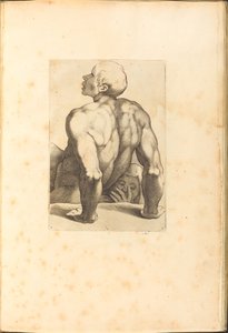 Impression du Livre de Dessin - Luca Ciamberlano
