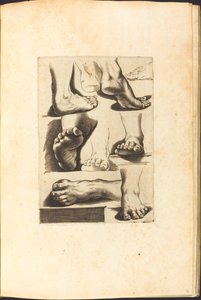 Impression du Livre de Dessin - Luca Ciamberlano