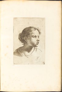 Impression du livre de dessin - Luca Ciamberlano
