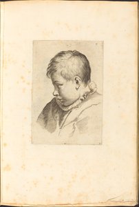 Impression du livre de dessins - Luca Ciamberlano