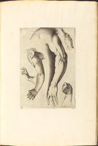 Impression du livre de dessin - Luca Ciamberlano