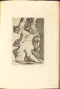 Impression du livre de dessin - Luca Ciamberlano
