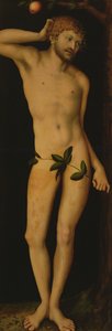 Adam, 1528 - Lucas Cranach the Elder