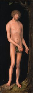 Allemand : Adam Adam - Lucas Cranach the Elder