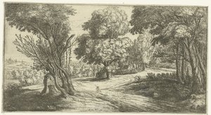 Paysage forestier - Lucas van Uden