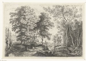 Paysage avec un ruisseau à travers une forêt