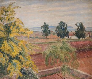 Mimosa Lavendou, 1923