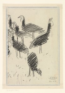 Six oiseaux