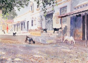 Chèvres indiennes