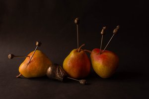  - Ludmila Shumilova