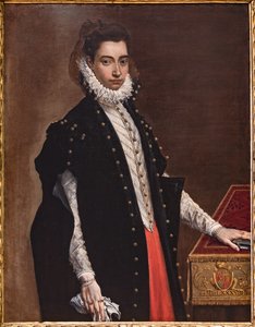 Fontanellato, Labirinto della Masone, Collection d