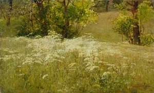 Cerfeuil sauvage dans un pré - Ludovico Cavaleri