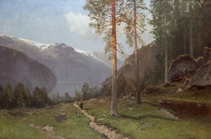 Paysage de fjord