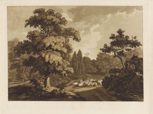 Paysage avec berger de moutons