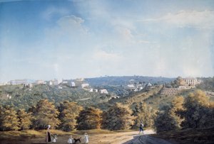 Colline de Capodimonte et villas le long de la route Ponti Rossi - Luigi Fergola