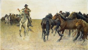 Chevaux sur la plaine de Pise