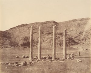 Persepolis - Luigi Pesce