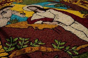 Tapis de fleurs de la Semaine Sainte Surco, Lima, Pérou, 2015 - Luis Rosendo.