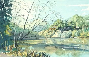 Reflets sereins au bord du lac - Luisa Millicent