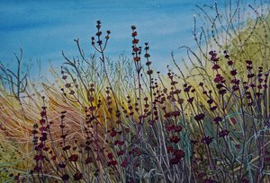 Une prairie sauvage pleine de vie - Luisa Millicent