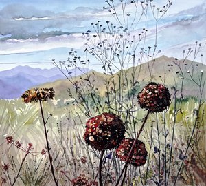 Fleurs sauvages et montagnes - Luisa Millicent