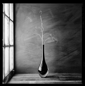 Vase minimaliste en forme de branche - Luiz Laercio