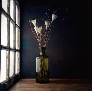 Nature morte à la lumière de la fenêtre - Luiz Laercio