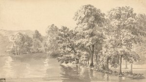 Arbres au bord d