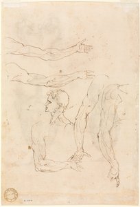Esquisses de cinq bras et une tête (verso)