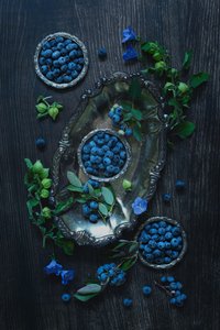  - Lydia Jacobs
