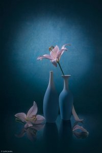  - Lydia Jacobs
