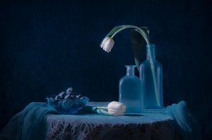 Nature morte bleue élégante