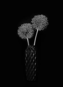  - Lydia Jacobs