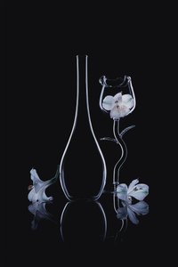  - Lydia Jacobs