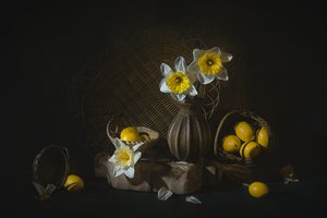  - Lydia Jacobs