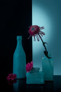  - Lydia Jacobs