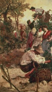 La récolte des raisins
