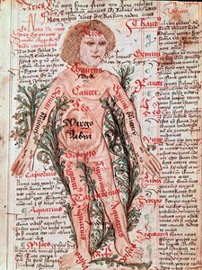 Médecine: influence du zodiaque sur les maladies humaines (Miniature) - M Albik