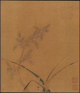 Orchidées - Ma Lin