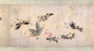 Fleurs et papillons