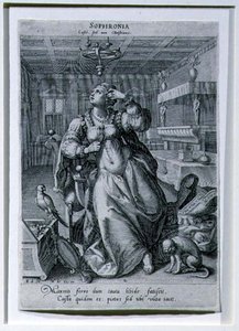 Sophronia, d