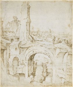 Vue de la Domus Severiana sur le Colisée