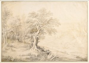 Paysage fluvial