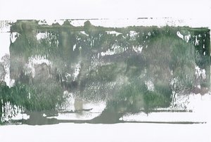 Résumé : Forest Wash - Maira Ribena