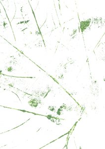 Lignes vertes abstraites - Maira Ribena